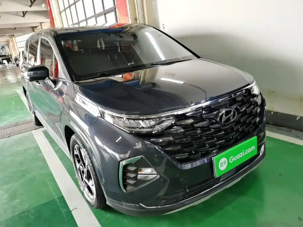Hyundai Custo — миниатюра 4