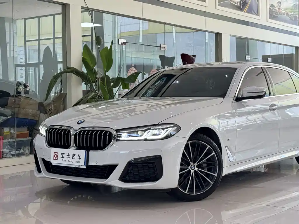 BMW 5 Series — миниатюра 6