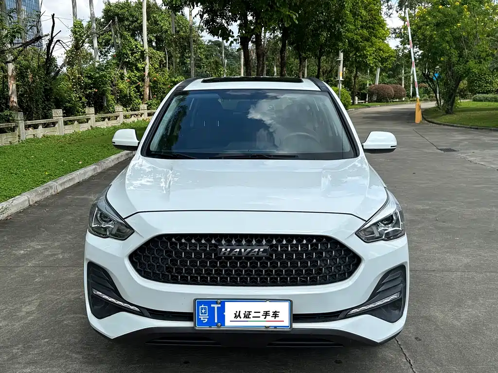 HAVAL  M6
