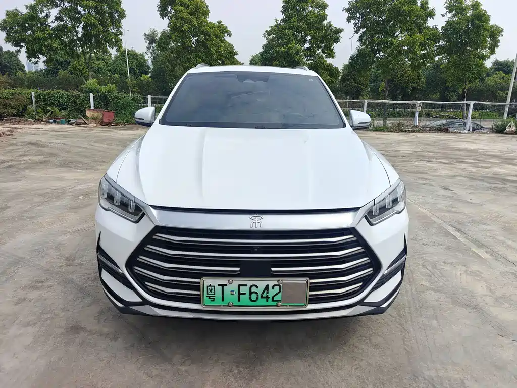 BYD Pro New Energy — миниатюра 2