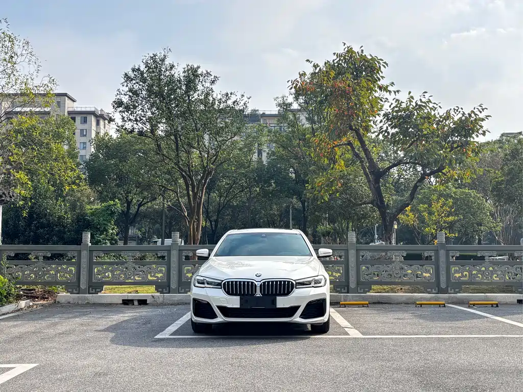 BMW 5 Series — миниатюра 2