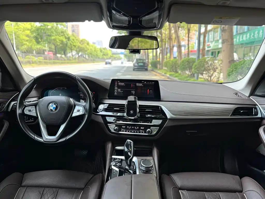 BMW 5 Series 5 2020 530Li Premium Luxury