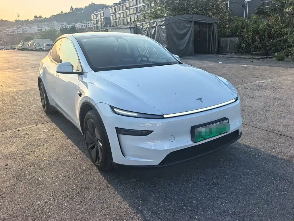 Tesla Model Y — миниатюра 3