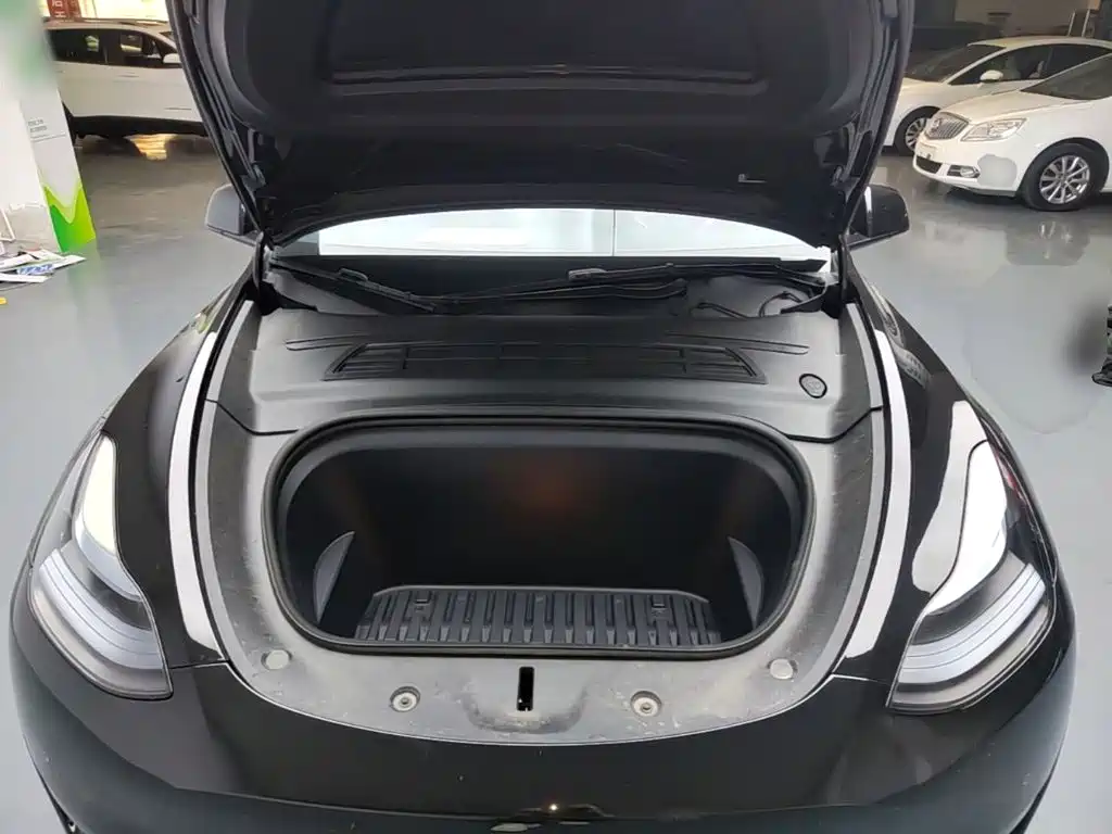 Tesla Model Y — миниатюра 20