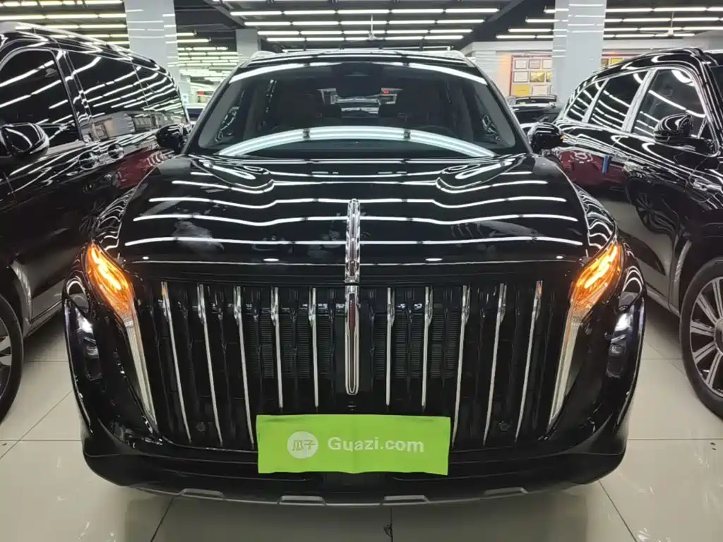 Hongqi Hongqi HS7 PHEV — миниатюра 3
