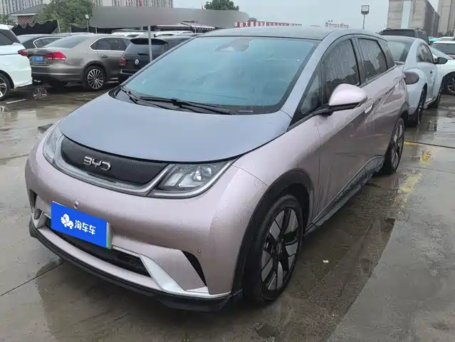 BYD Dolphin