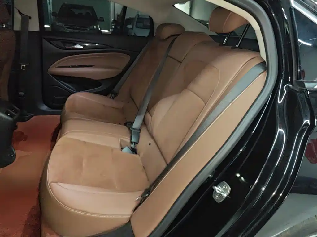 Buick Regal — миниатюра 17