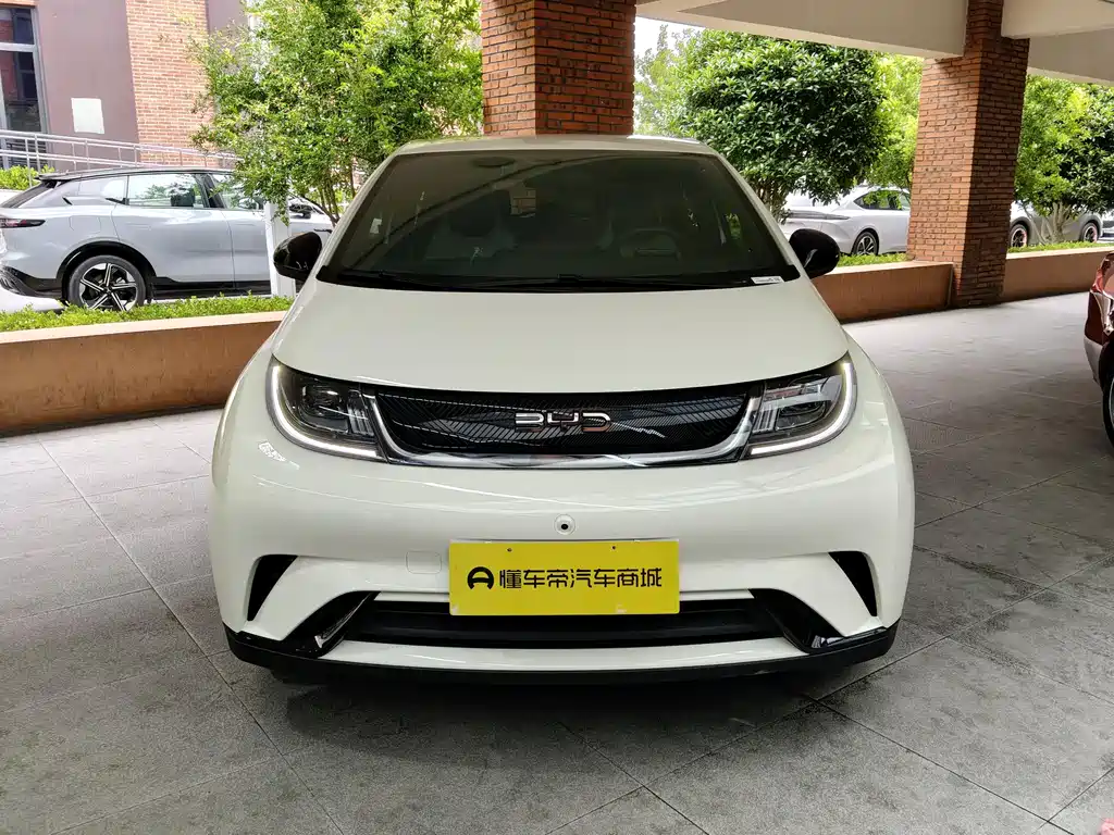 BYD Dolphin 2025 420km Freedom