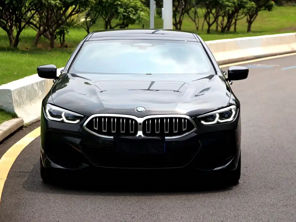 BMW 8 Series — миниатюра 2
