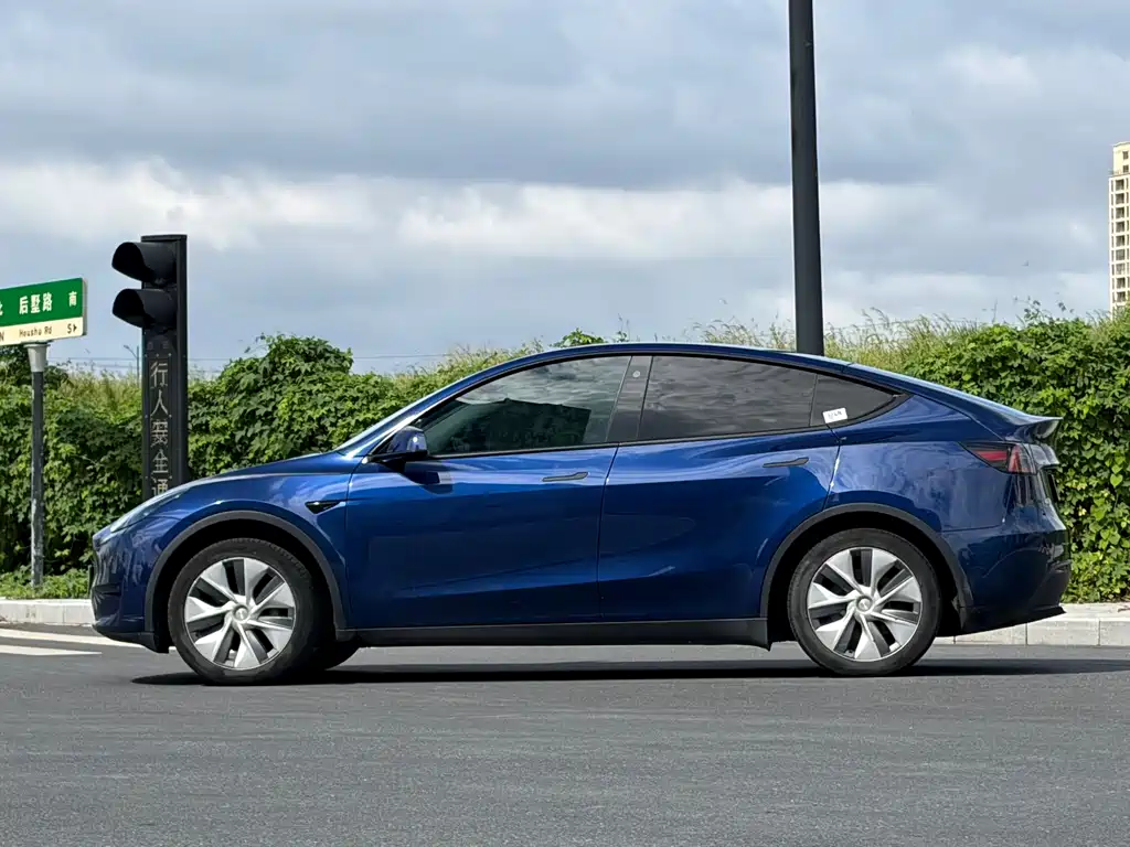 Tesla Model Y — миниатюра 3