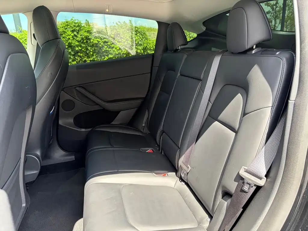 Tesla Model Y — миниатюра 8