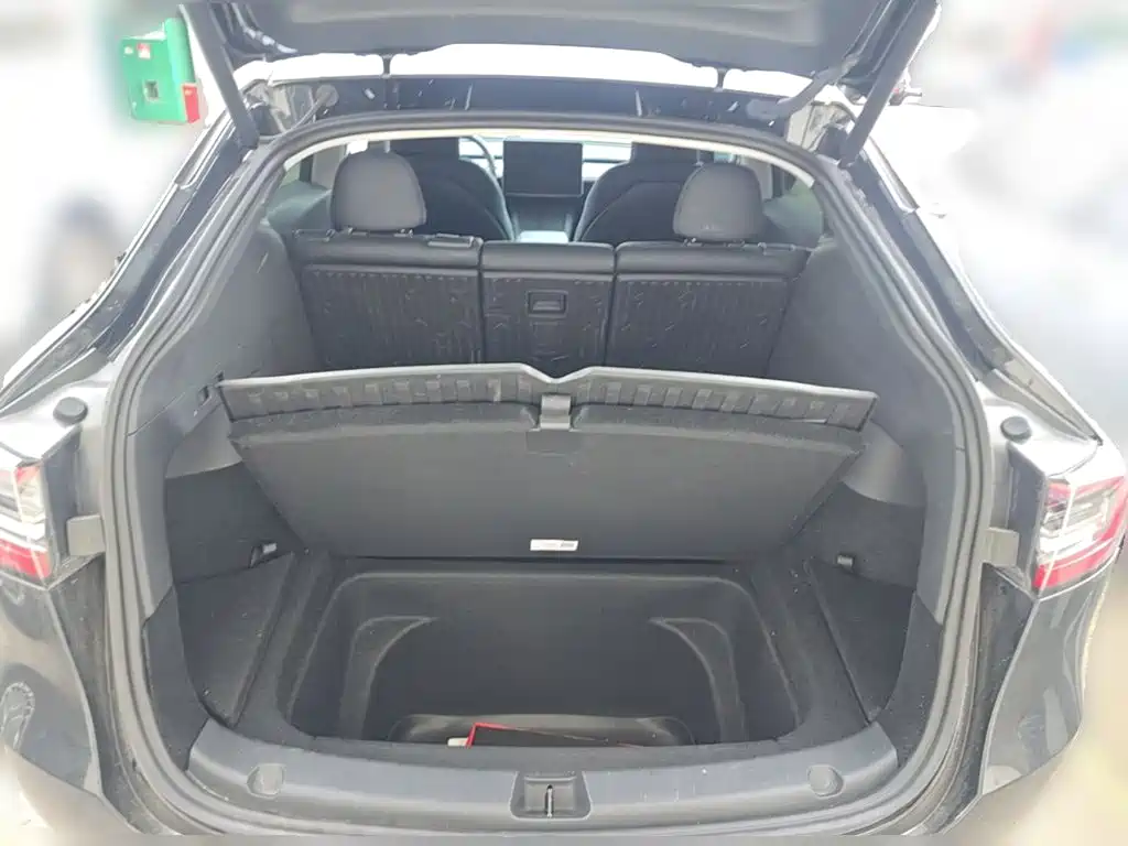 Tesla Model Y — миниатюра 10