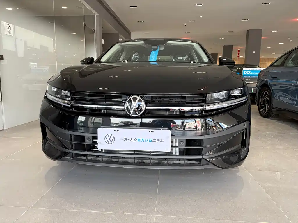 Volkswagen Magotan — миниатюра 2