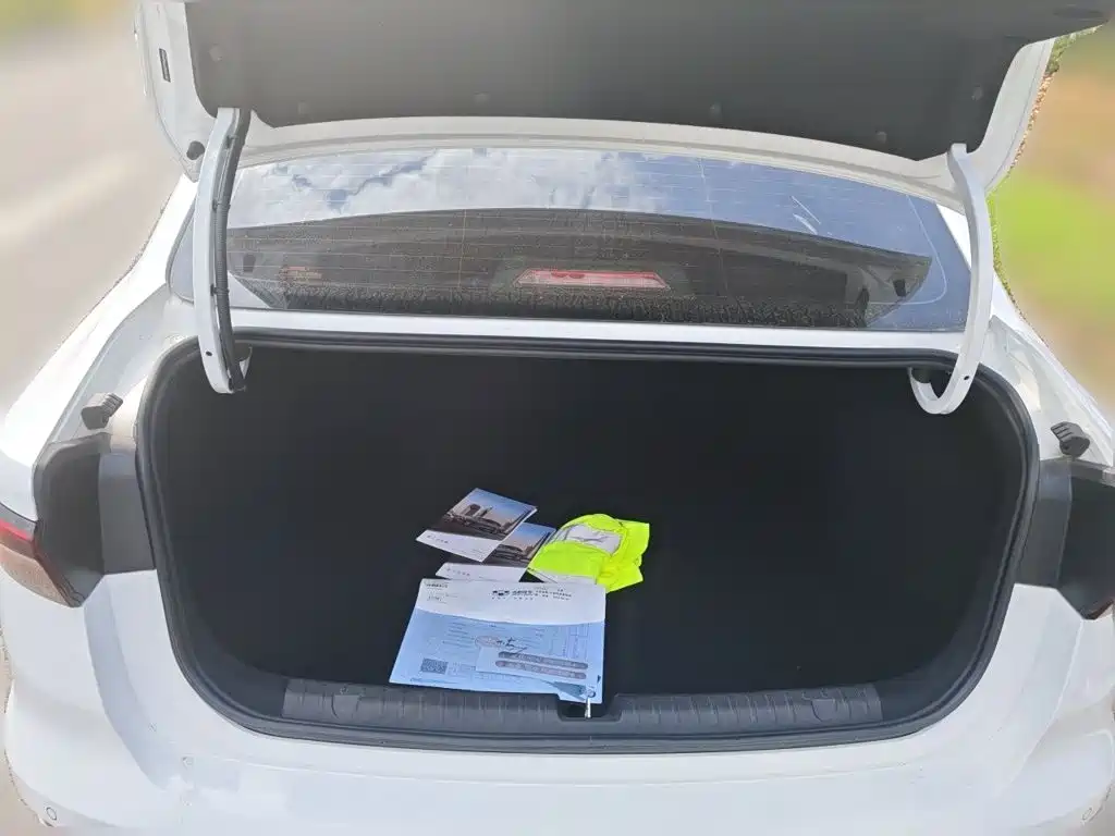 Geely Emgrand — миниатюра 15
