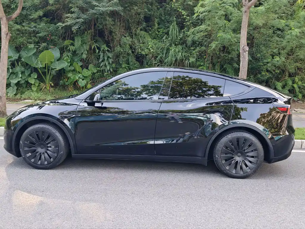 Tesla Model Y — миниатюра 8