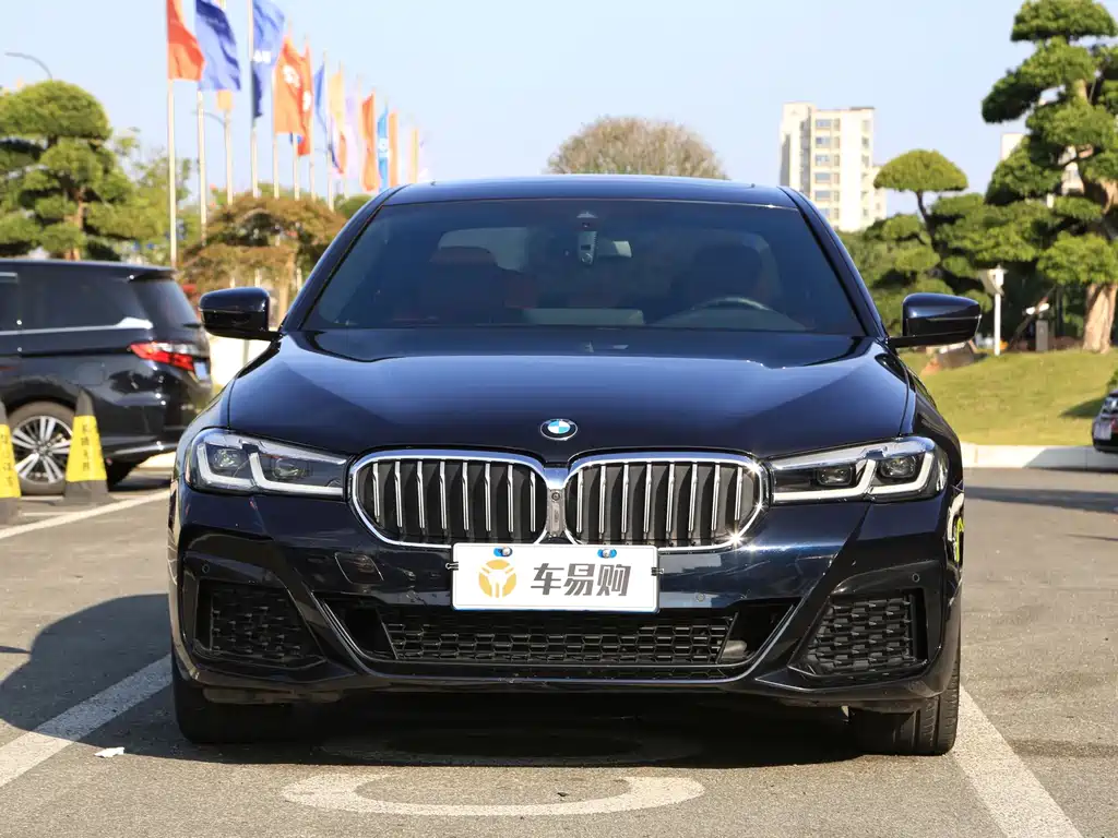 BMW 5 Series — миниатюра 10