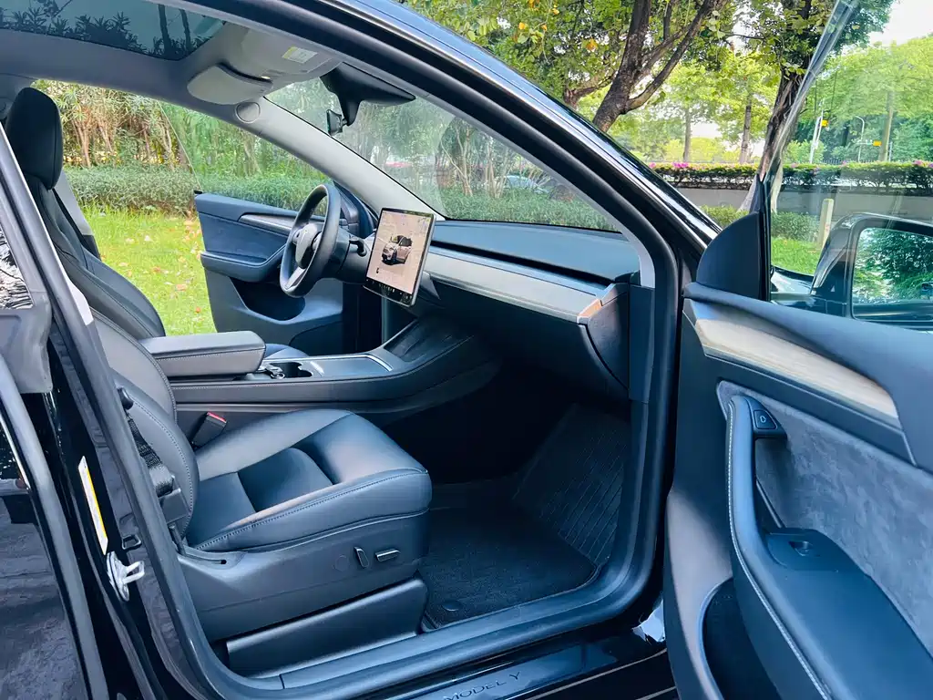 Tesla Model Y — миниатюра 10