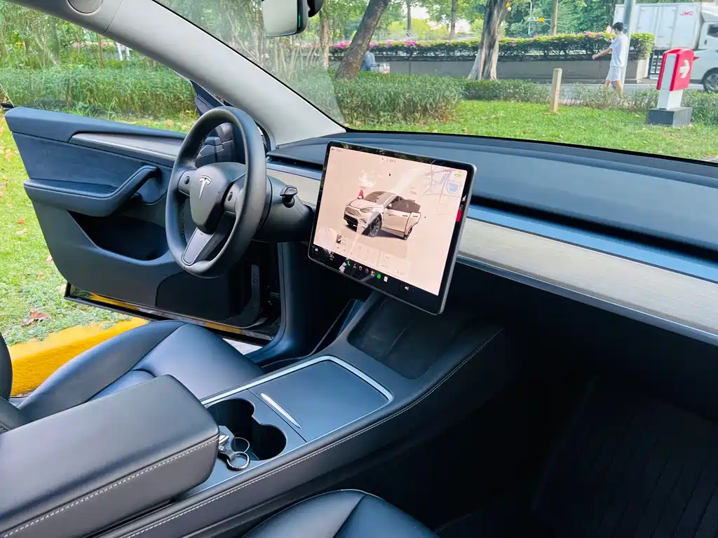 Tesla Model Y — миниатюра 11