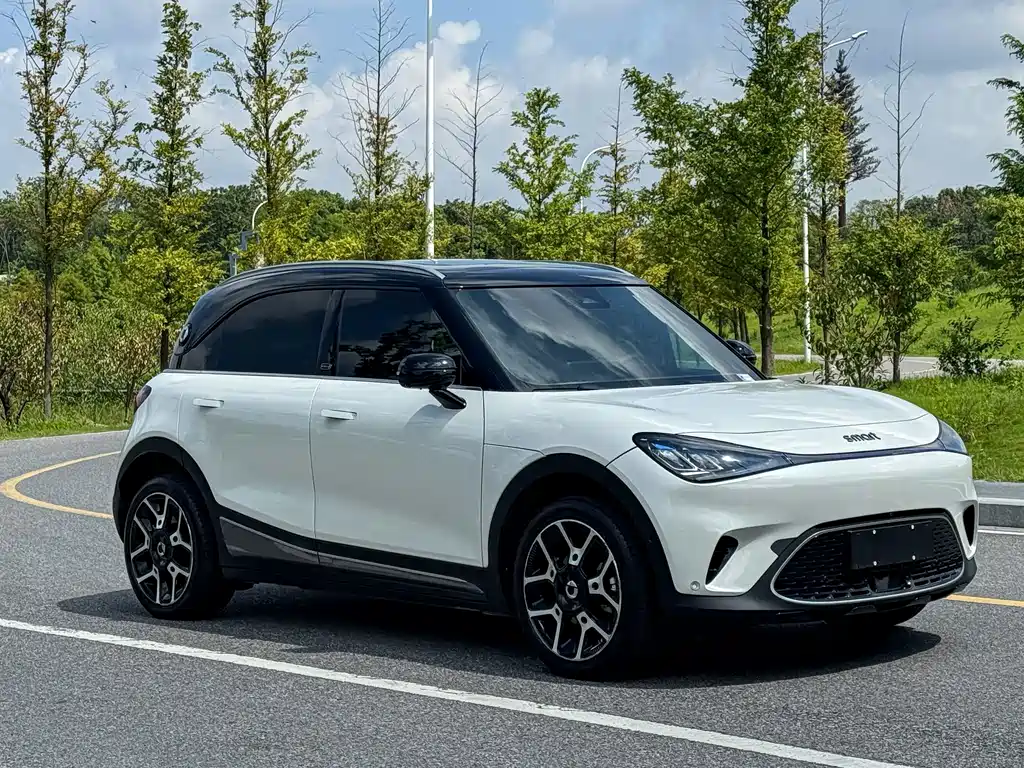 smart Smart #1 — миниатюра 5