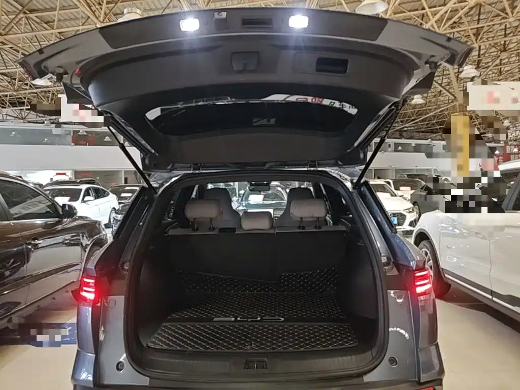BYD Pro New Energy — миниатюра 19