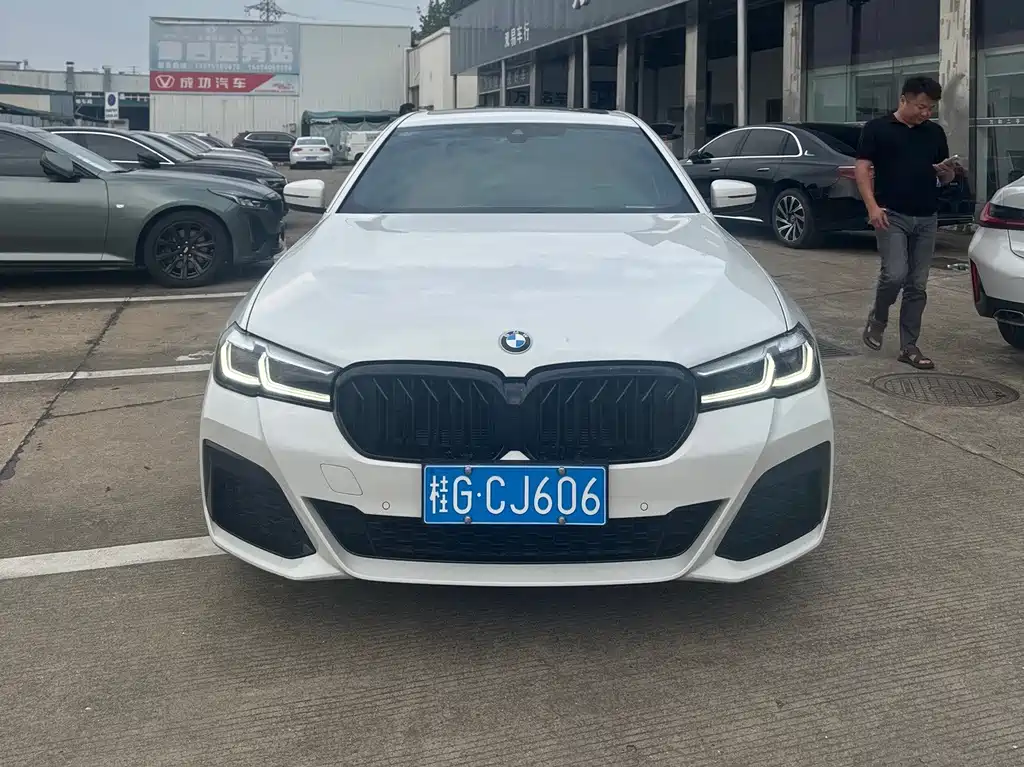 BMW 5 Series (Import) — миниатюра 2