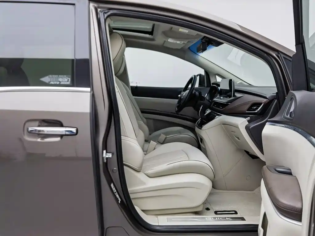 Buick GL8 — миниатюра 23