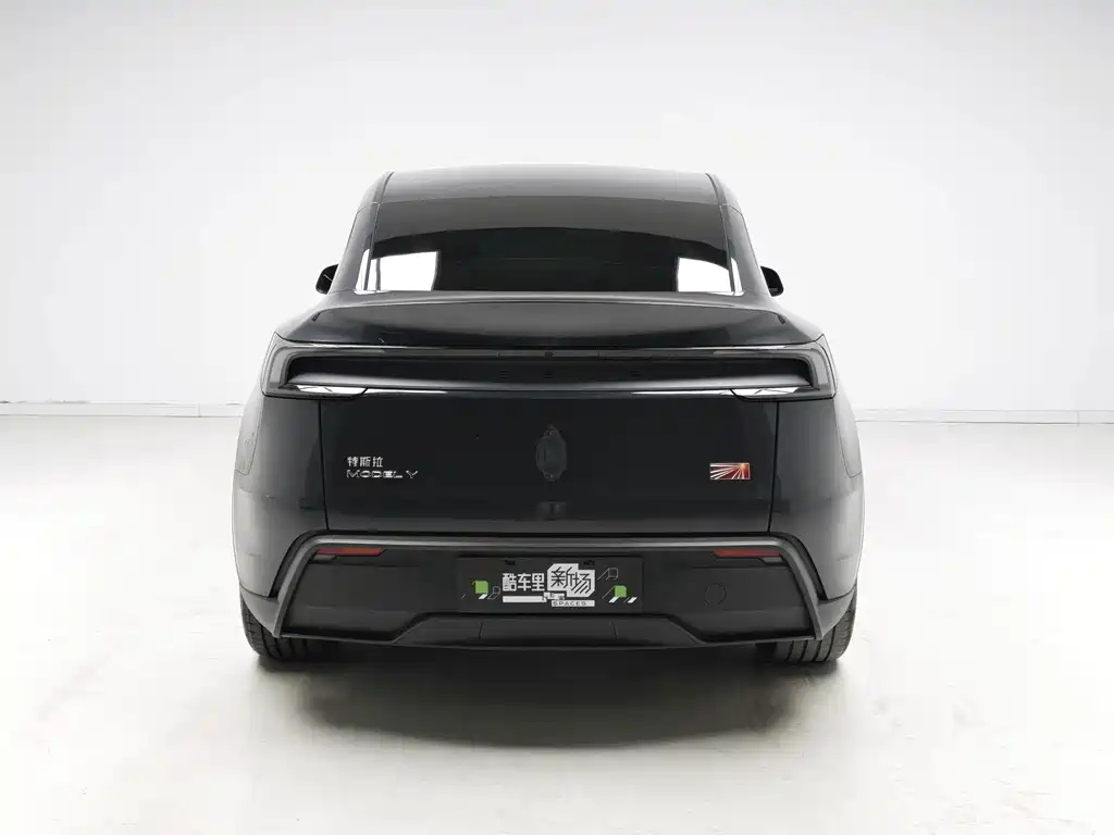 Tesla Model Y — миниатюра 5