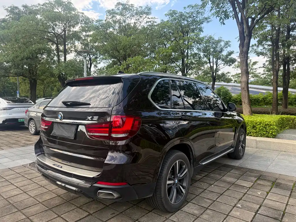 BMW X5 (Import) — миниатюра 9