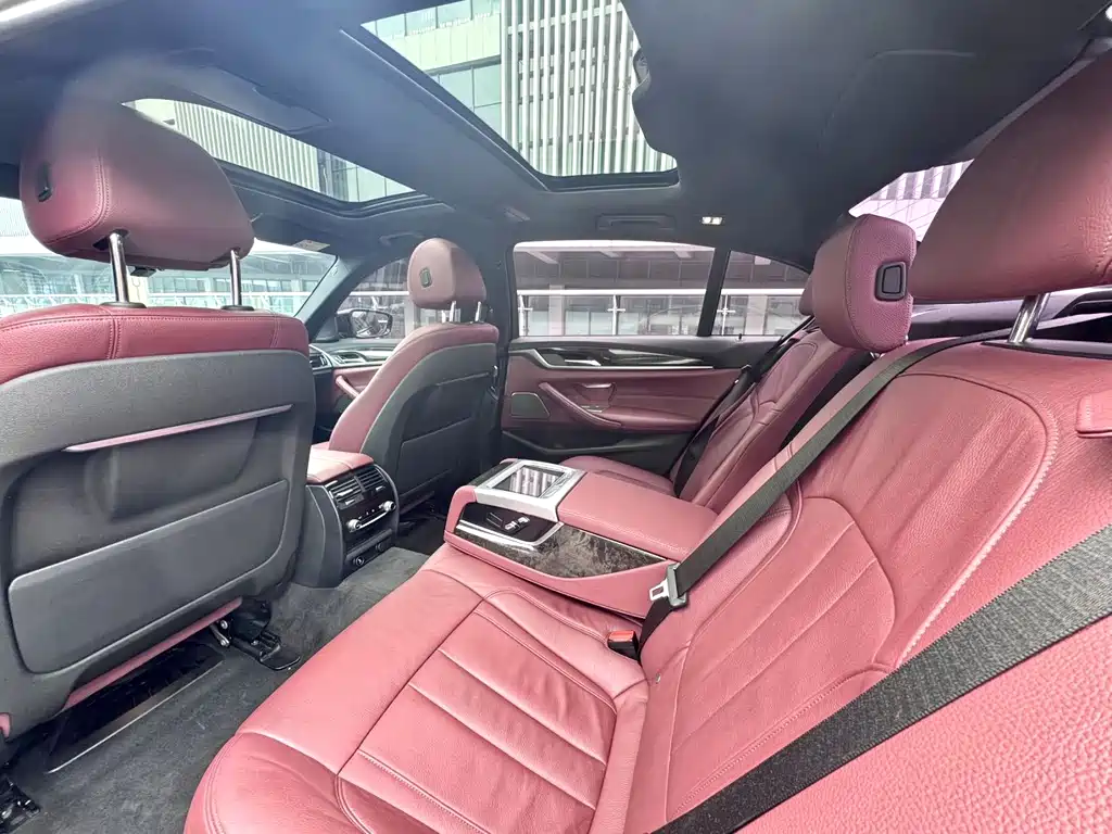 BMW 5 Series 5 2019 530Li Premium M Sport