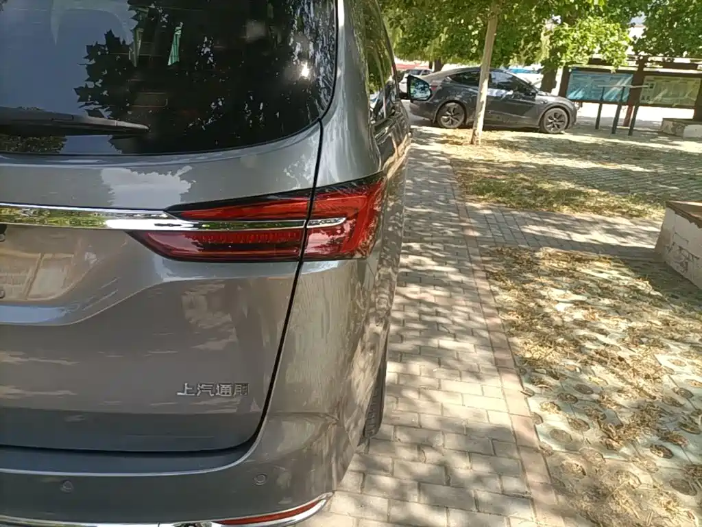 Buick GL8 — миниатюра 8