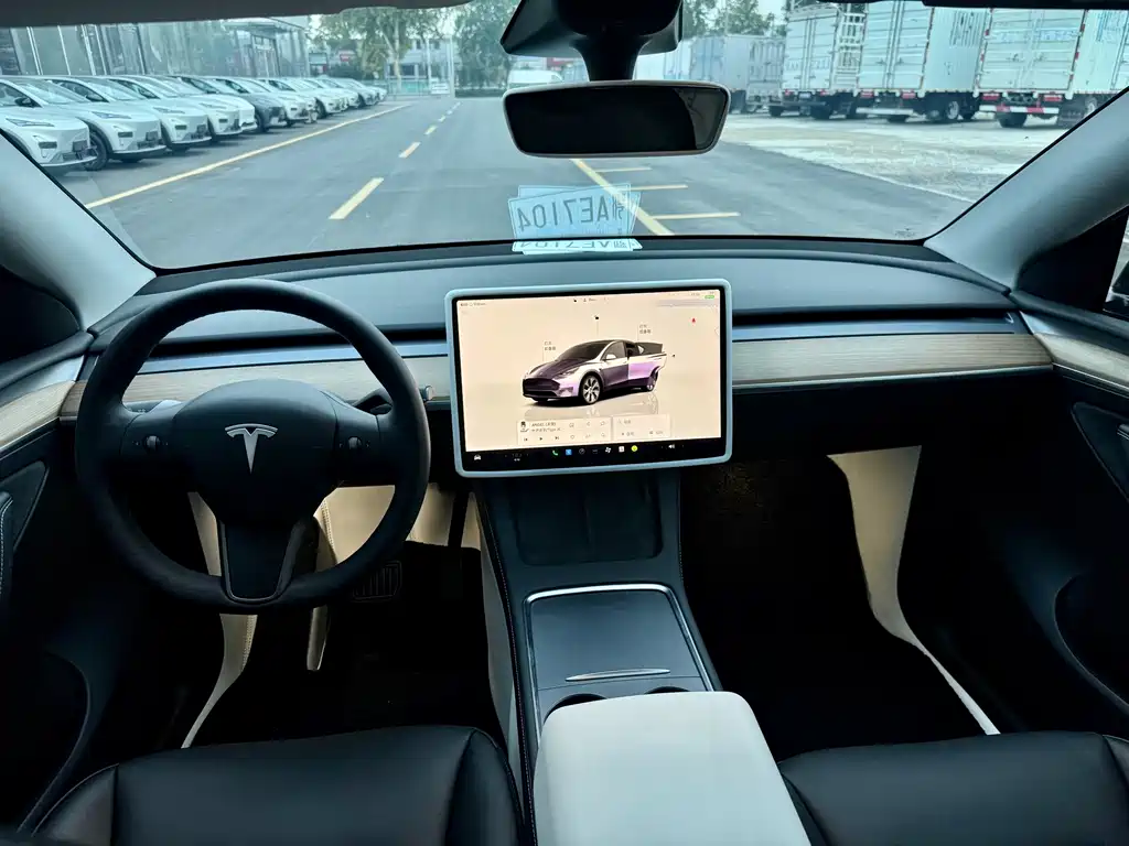 Tesla Model Y — миниатюра 11