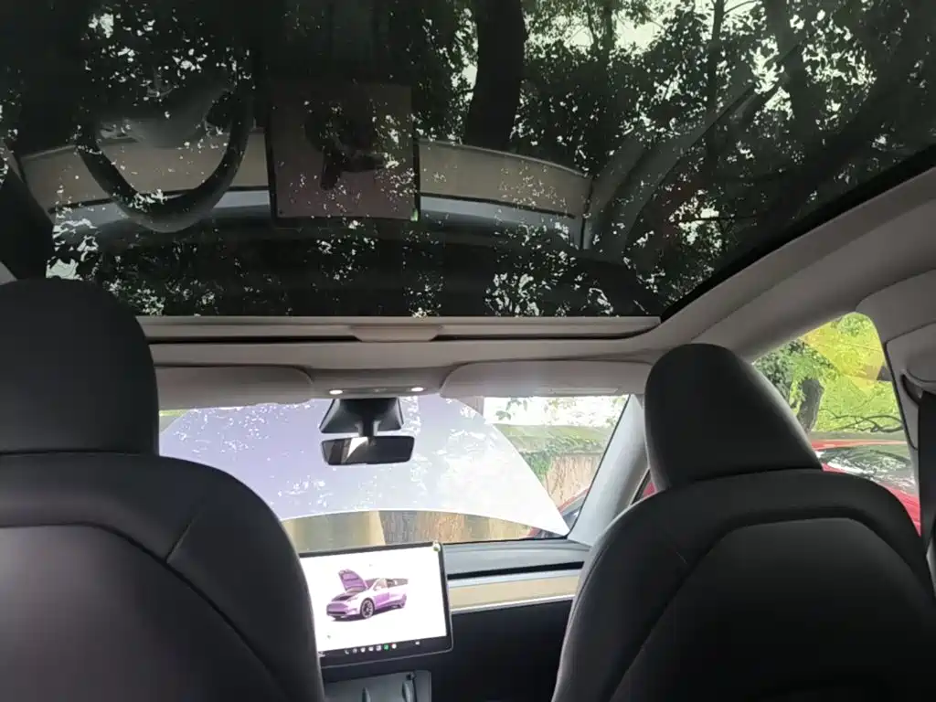 Tesla Model Y — миниатюра 18