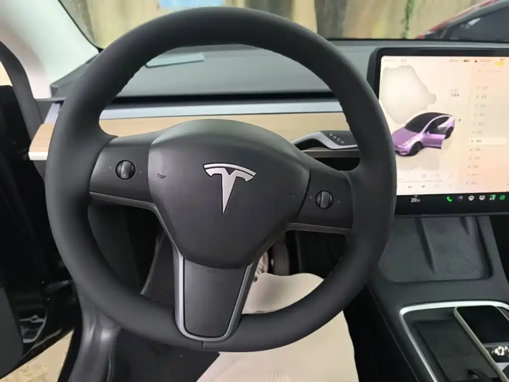 Tesla Model Y — миниатюра 11