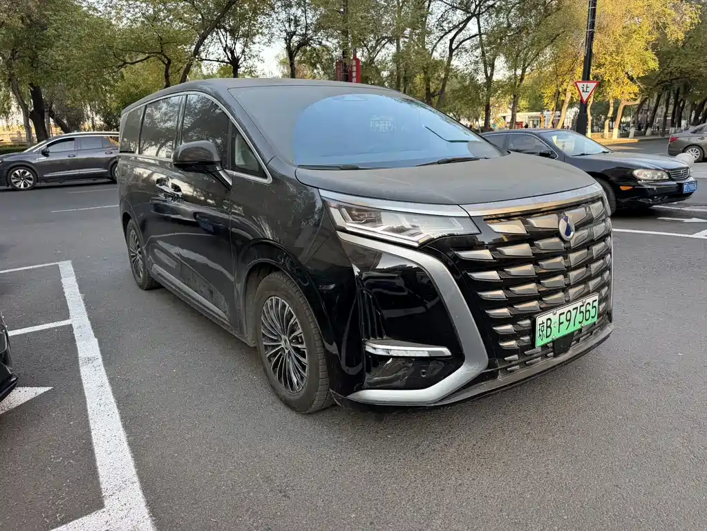 Denza Denza D9 — миниатюра 3