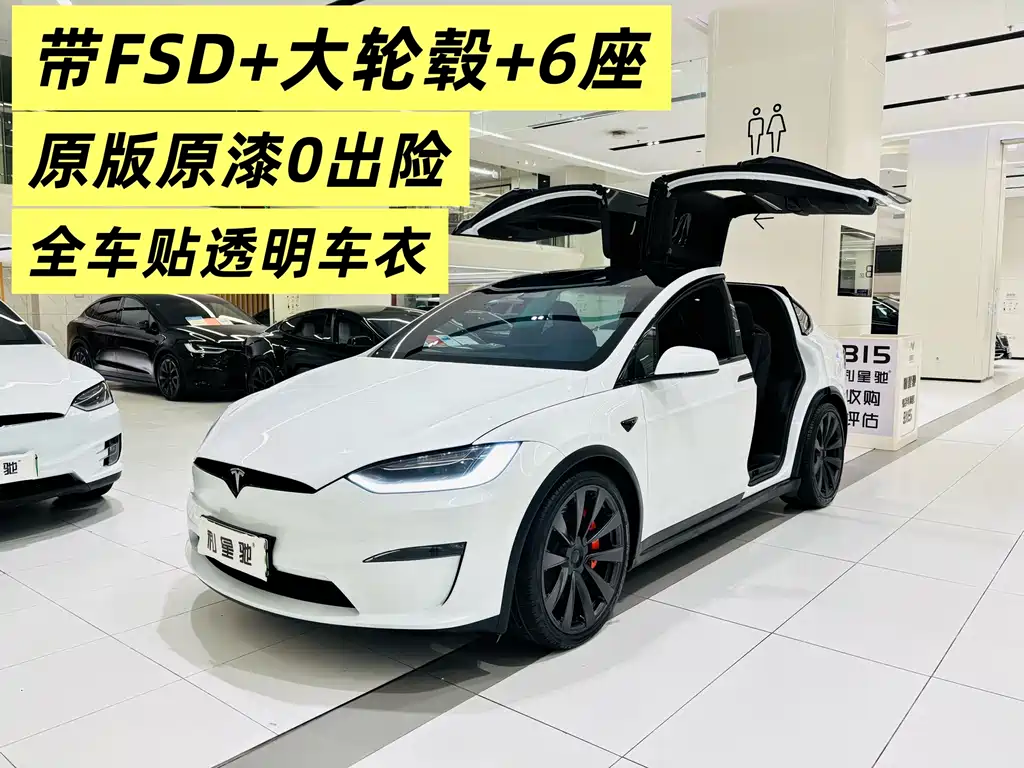 Tesla Model X — миниатюра 2