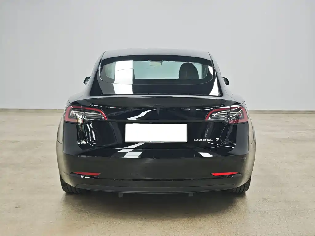 Tesla Model 3 — миниатюра 5