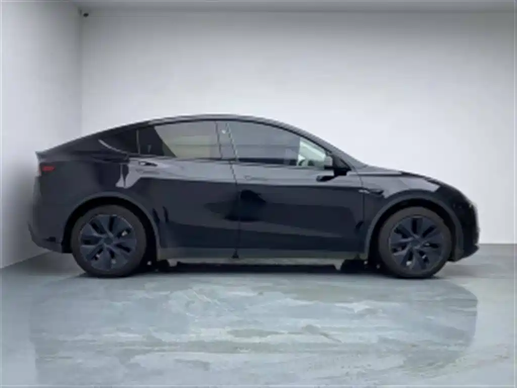 Tesla Model Y — миниатюра 3