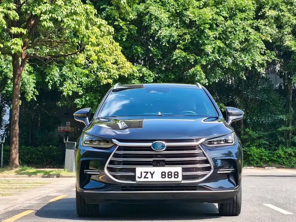 BYD Tang New Energy — миниатюра 2