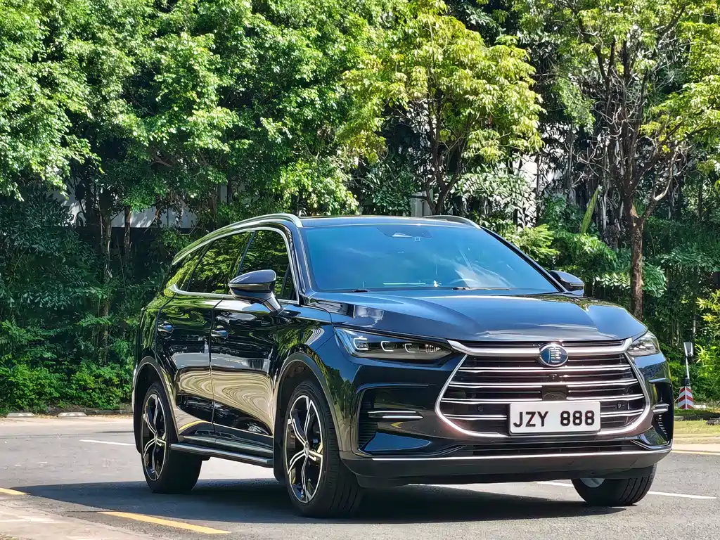 BYD Tang New Energy — миниатюра 3