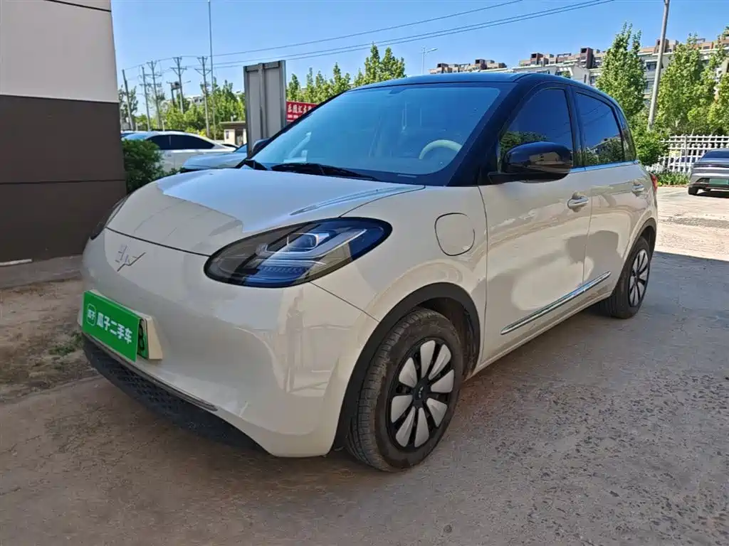 Wuling Bingo 2024