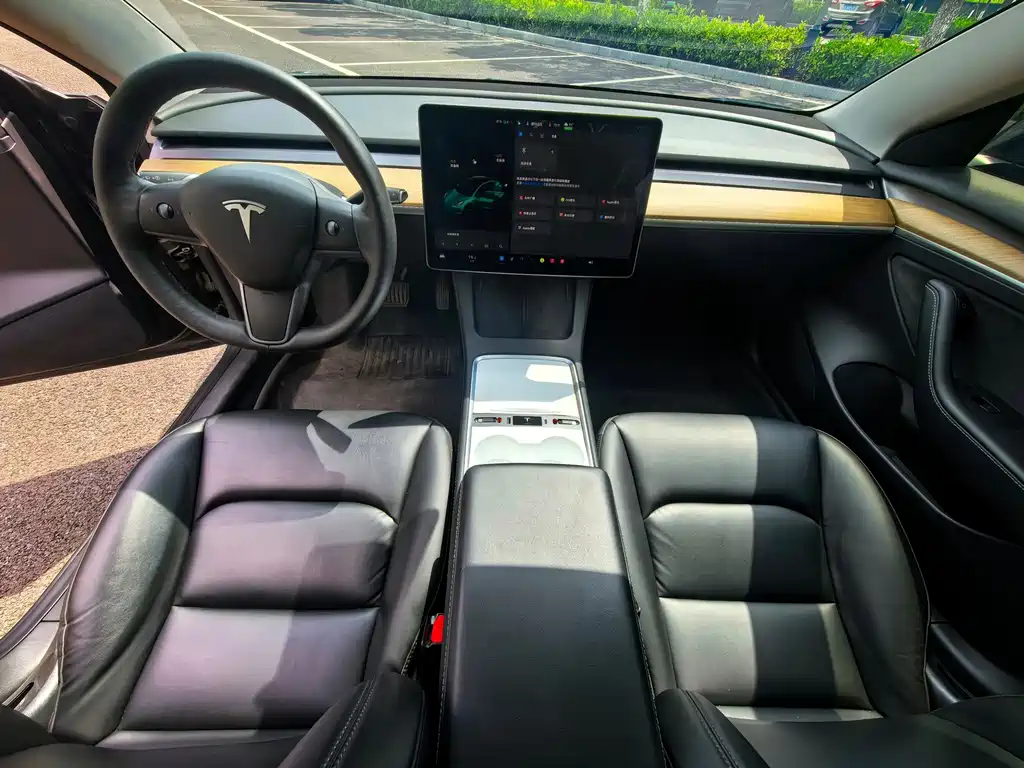 Tesla Model 3 — миниатюра 11