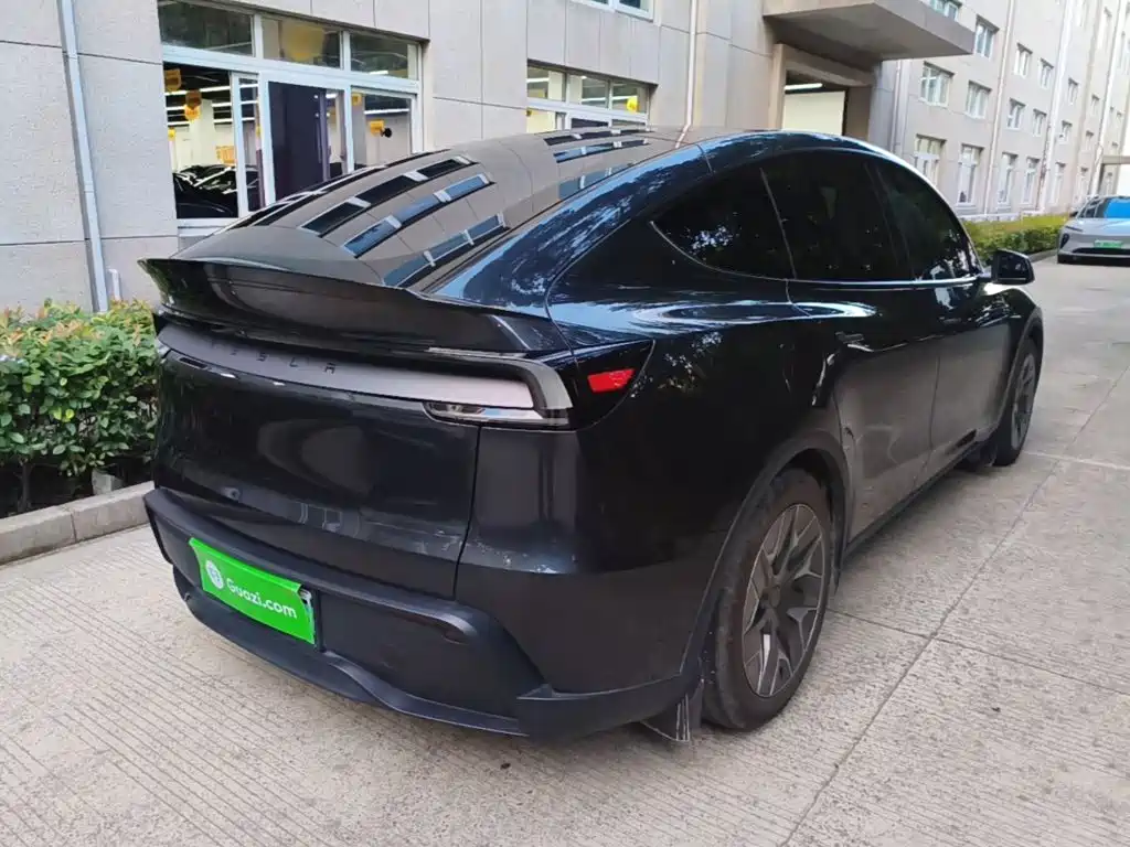 Tesla Model Y L — миниатюра 7