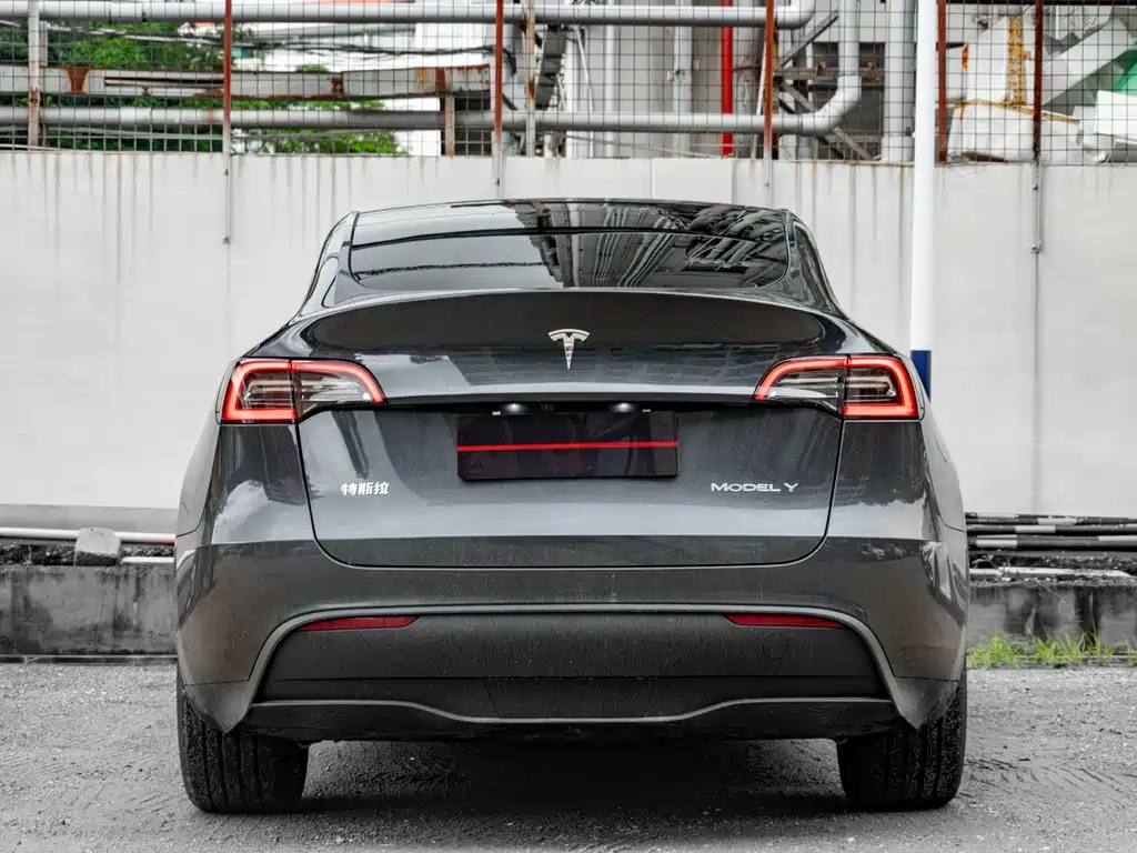 Tesla Model Y — миниатюра 5