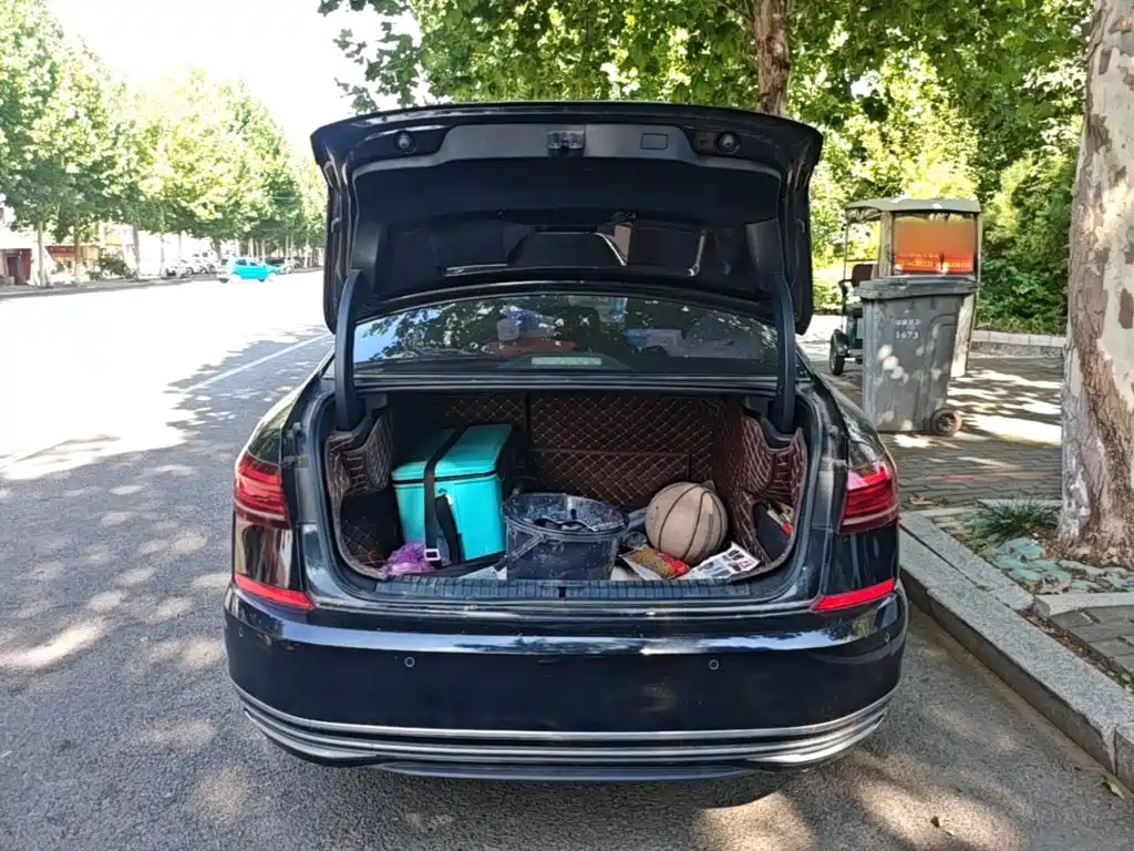 Volkswagen Passat — миниатюра 19