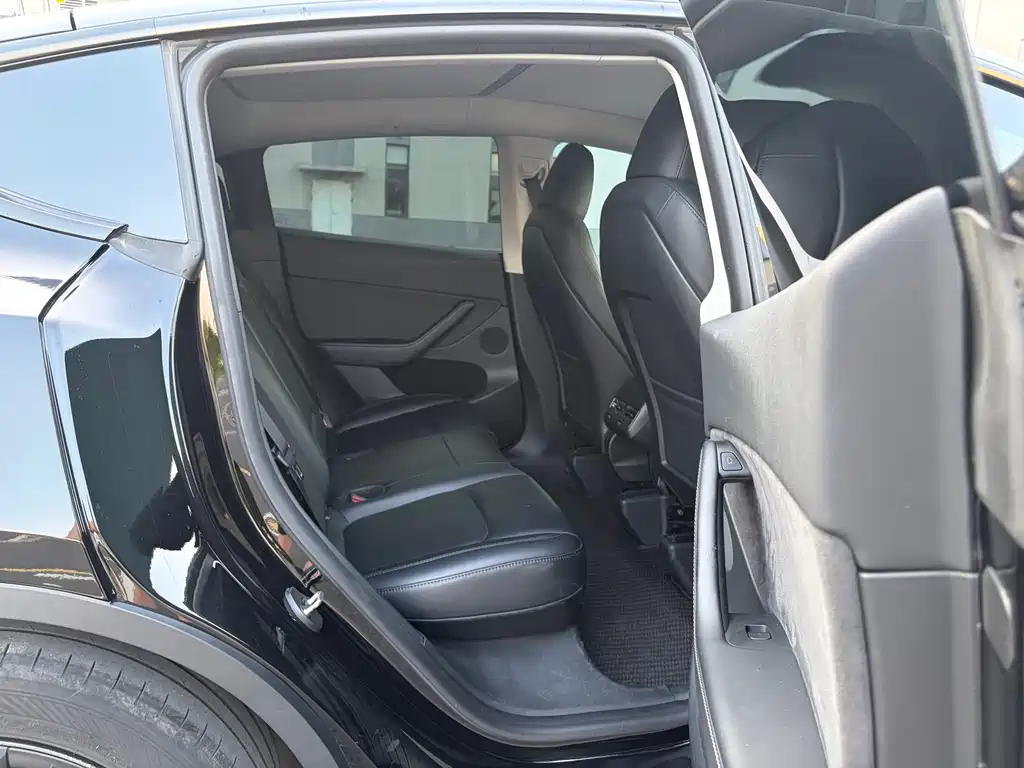 Tesla Model Y — миниатюра 12