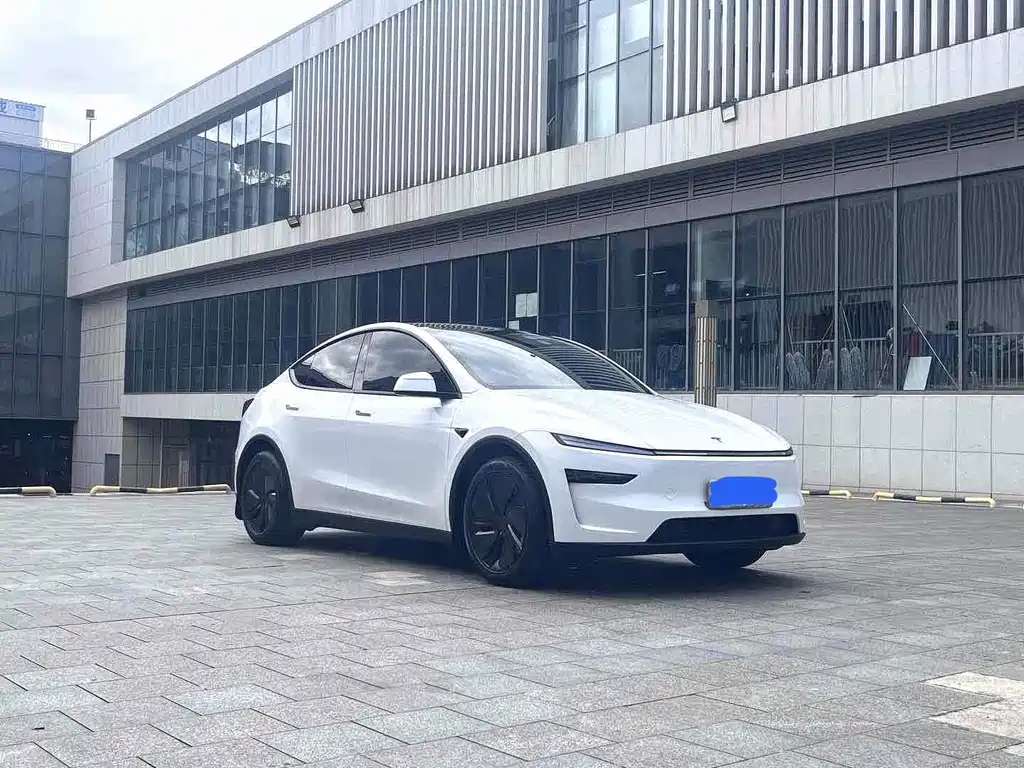 Tesla Model Y — миниатюра 3