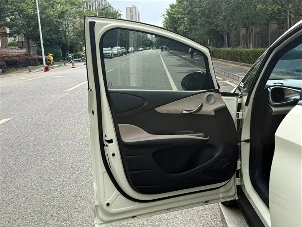 BYD Dolphin 2025 420km Freedom