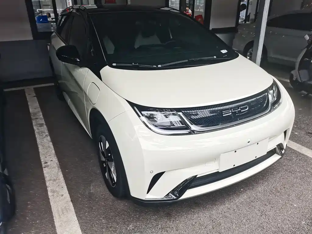 BYD Dolphin 2023 420km Fashion