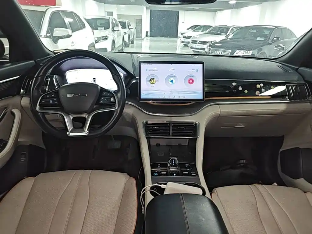 BYD PLUS New Energy — миниатюра 10