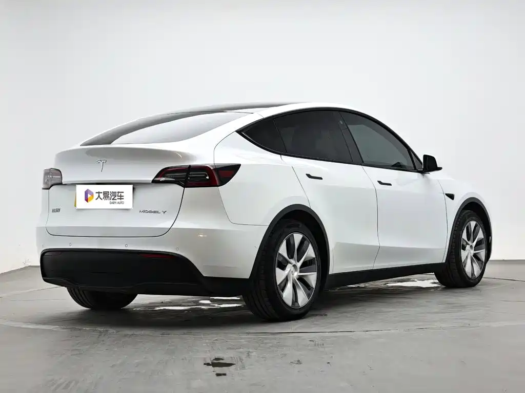 Tesla Model Y — миниатюра 3